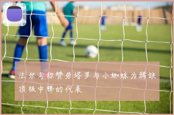 法尔考称赞劳塔罗与小蜘蛛为稀缺顶级中锋的代表